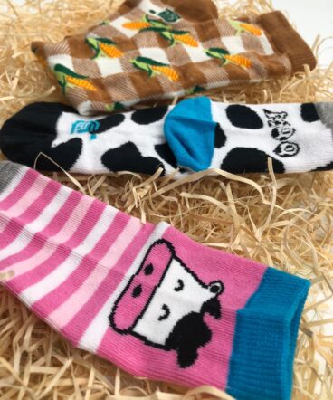 WhatsApp Image 2025-05-19 at 9.34.14 AM WhatsApp Image 2025-05-19 at 9.34.14 AM